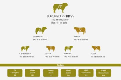 Family tree for Lorenzo