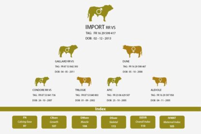 Family Tree for Import